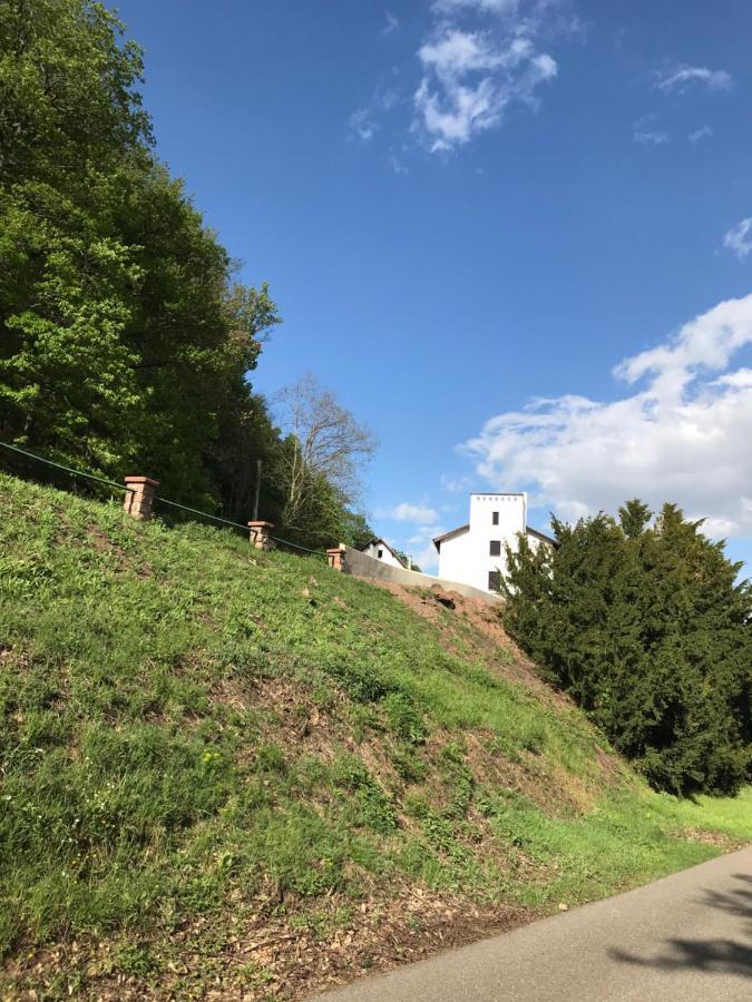 أورشويليه Domaine Du Haut-Koenigsbourg المظهر الخارجي الصورة